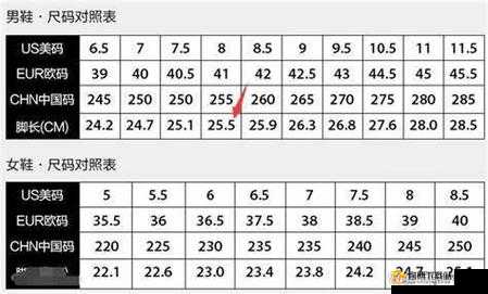 三叶草欧洲码和亚洲码：时尚尺码的秘密