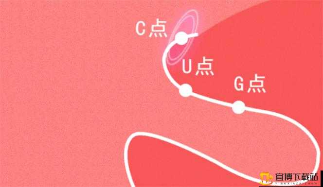 自 W 到高 C 的 25 种方法视频教程详细讲解