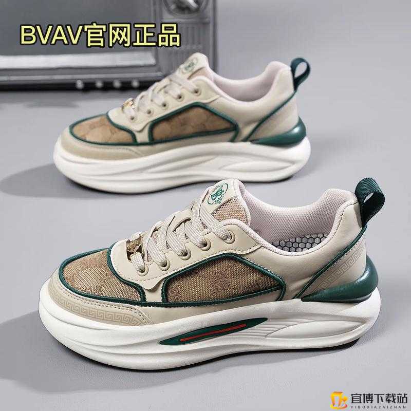 荷兰少归 BVBV：独特视角解读