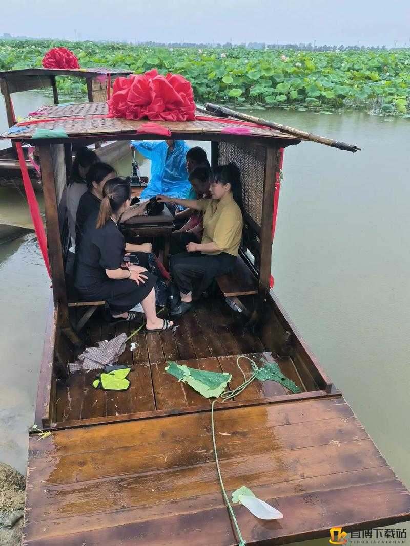 老人船上弄雨荷好吗：一场独特的经历