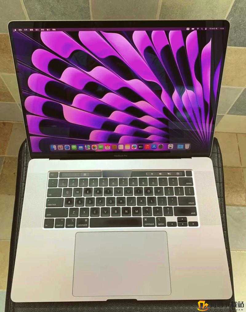 16 岁日本学生：MacBook Pro 比影视更受欢迎