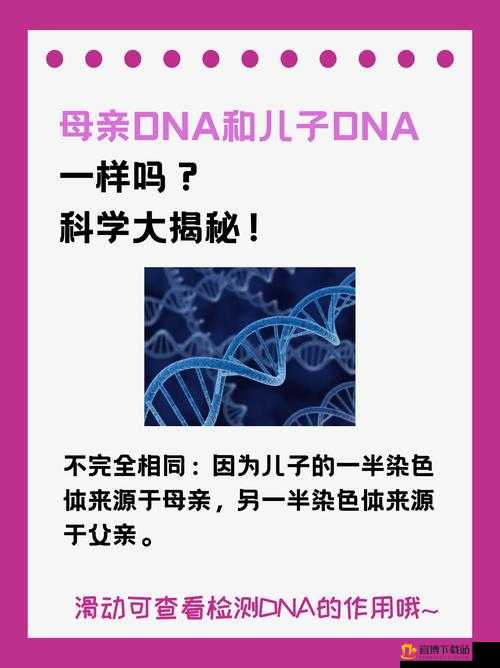 母亲与儿子 DNA：亲子关系的奥秘