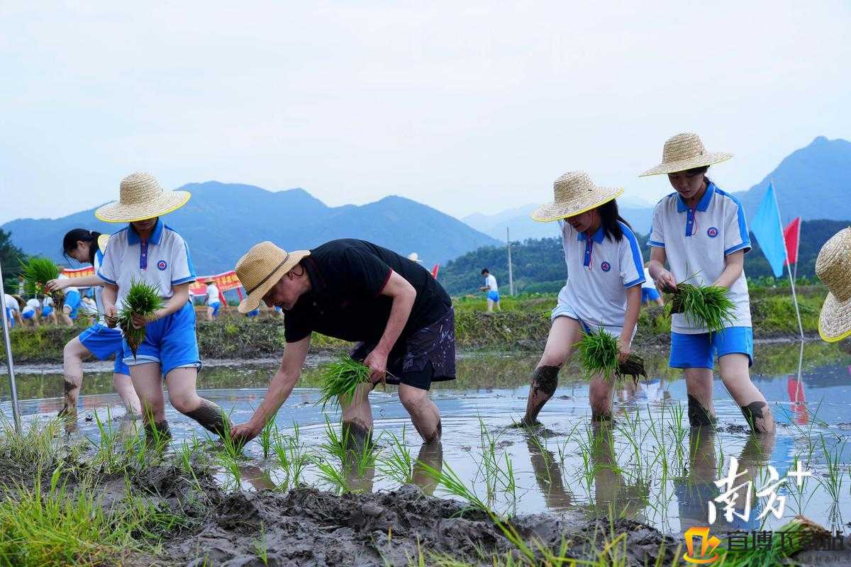 情侣插秧的 100 种方法：趣味农耕体验