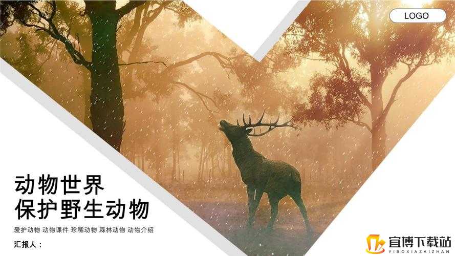 人与动物 PPT 免费模板大全：探索自然和谐之美