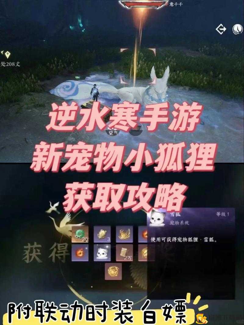 创造与魔法：象牙获取全攻略——探索最佳获取地点与方式