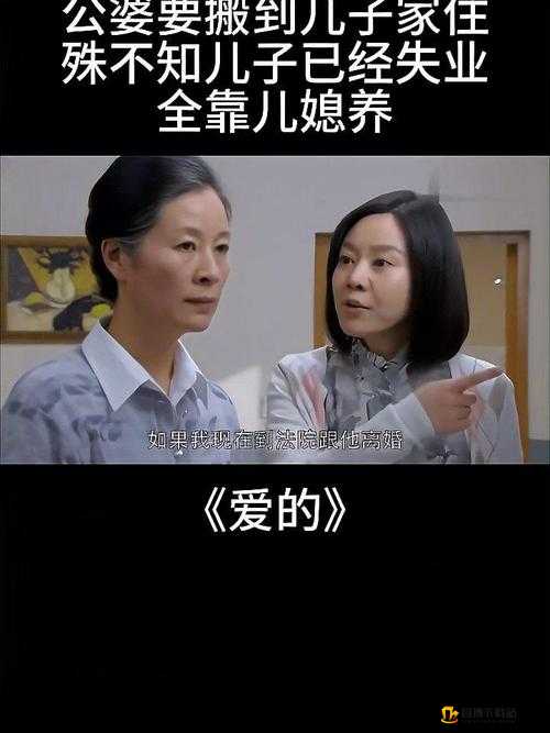 儿媳的爱：温暖整个家