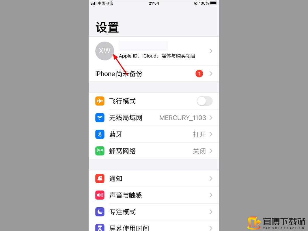 100 种禁用视频软件 IOS 详细盘点