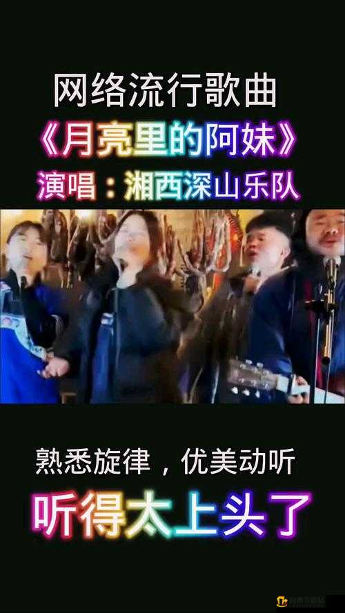 寡妇汆白肉最经典十首歌曲：美味与旋律的交织