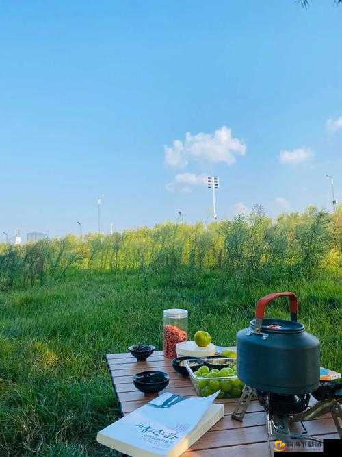 在野外用小雨伞拔萝卜好吗：一种有趣的户外体验