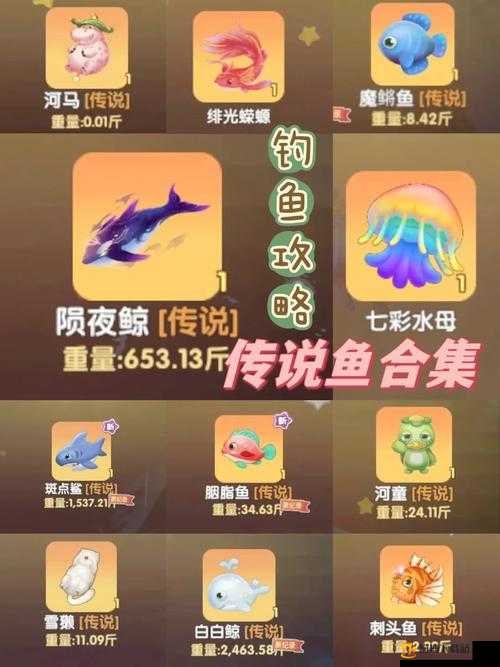 摩尔庄园手游：探寻遗失钓鱼竿的神秘位置全解析