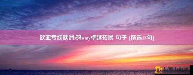 欧亚专线欧洲 s 码 wmy 卓越拓展：拓展国际市场的新途径