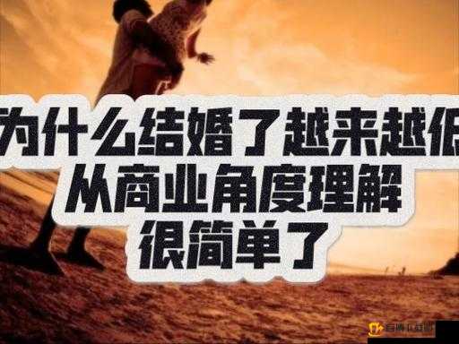 s货是不是欠g了MBA智库：从商业角度分析