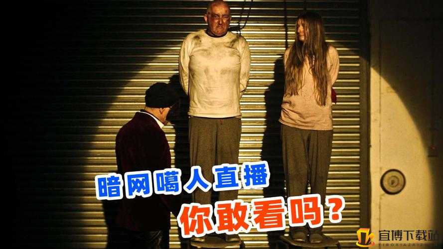 暗黑爆料免费观看2024：揭秘行业内幕