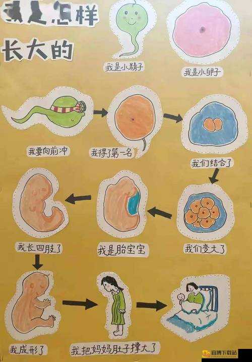 2023Gy钙站：探索钙元素的奥秘与应用