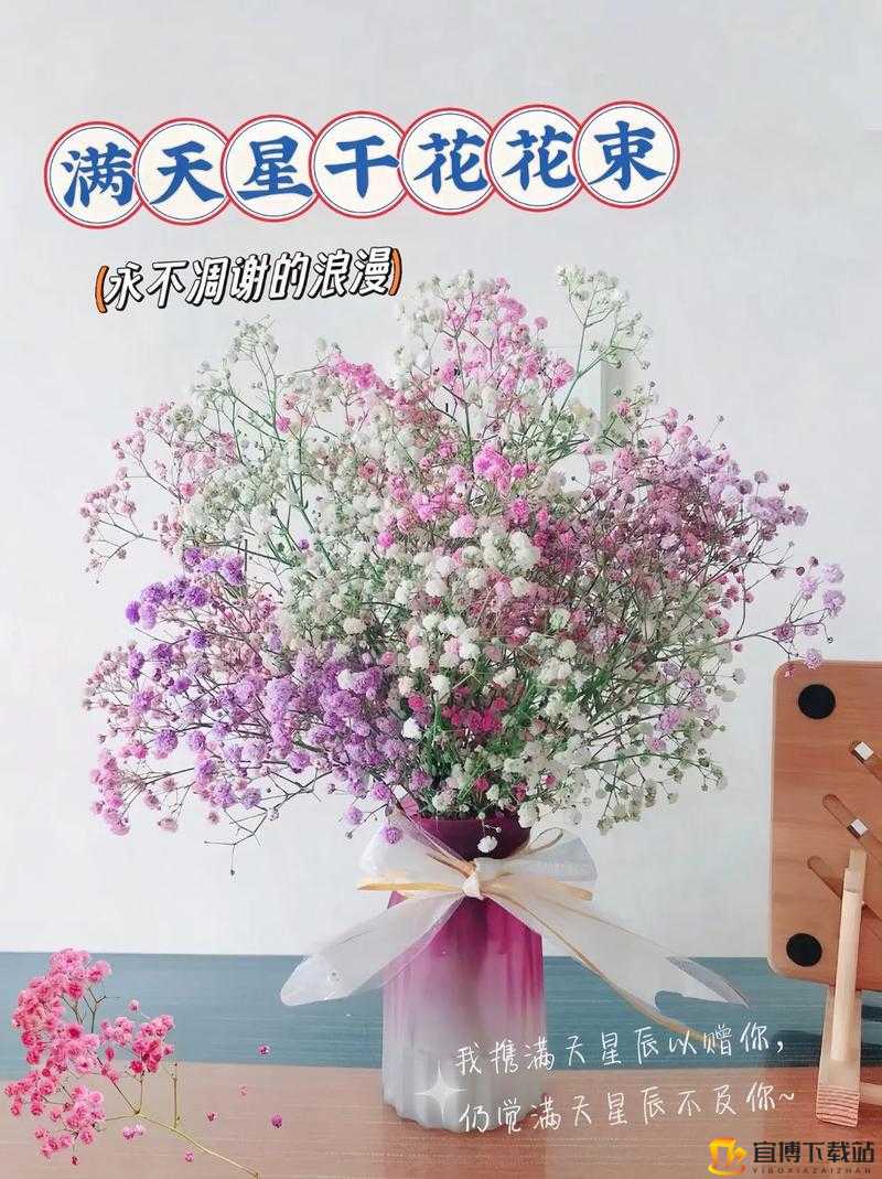 意大利满天星A级：极致浪漫的花卉体验