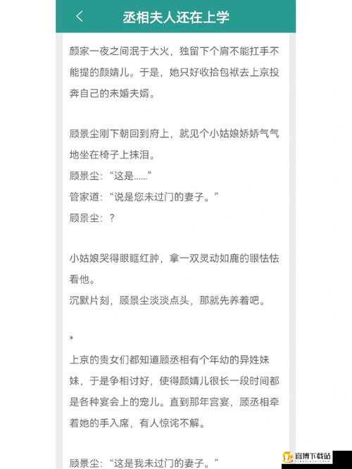 清冷丞相的爆炒日常小说视频：冰山下的火热人生