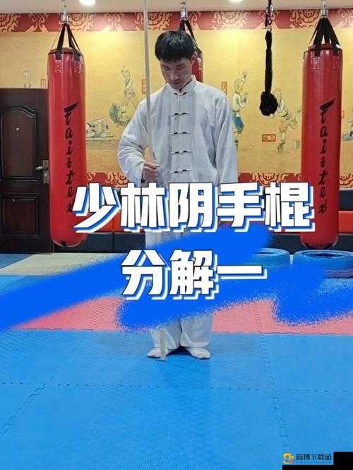 烟雨江湖少林拳棍攻略：深度解析少林拳与少林棍实战技巧及进阶玩法